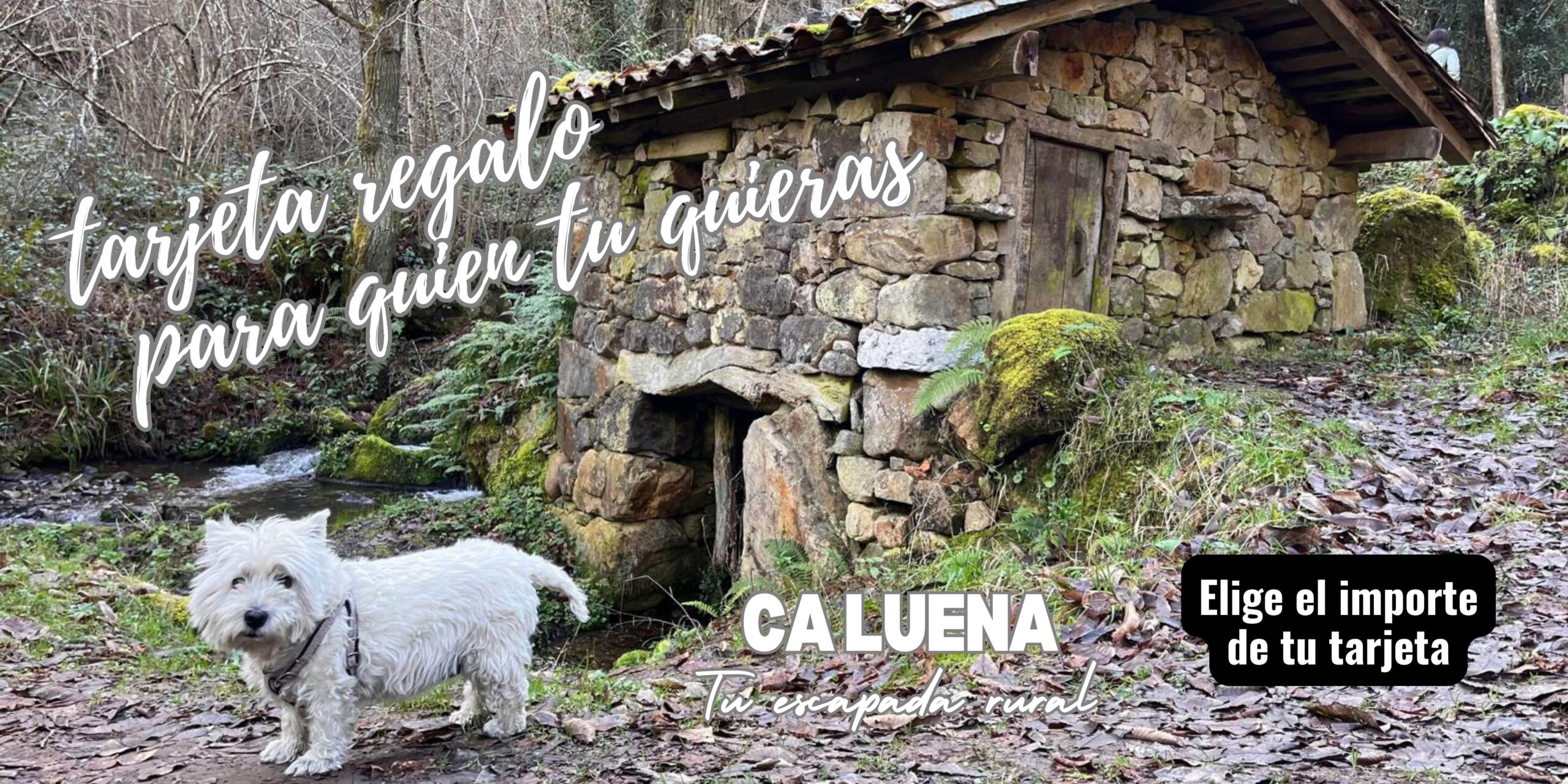 Personaliza tu tarjeta regalo y ven a Asturias