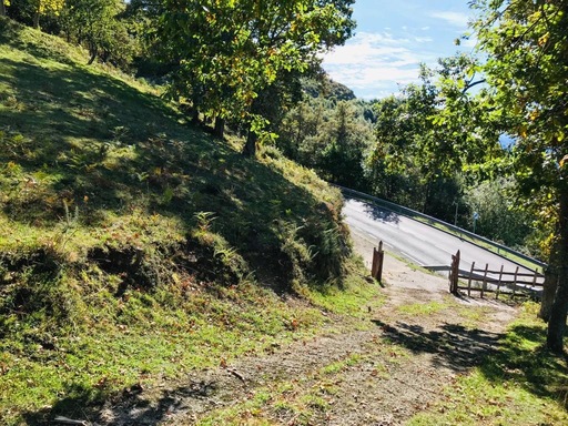 Proyecto Ca Luena, entrada al paraíso